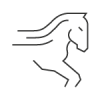 Horsemanship | Oliver Racing Stable